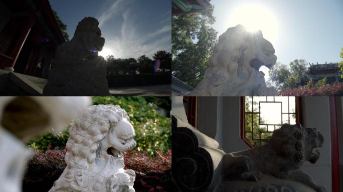 石雕、雕塑、雕像、雕刻、石狮子、中华文化