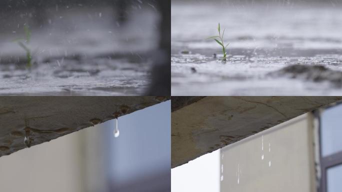 城市雨天，下雨路面空镜，雨滴滴落特写