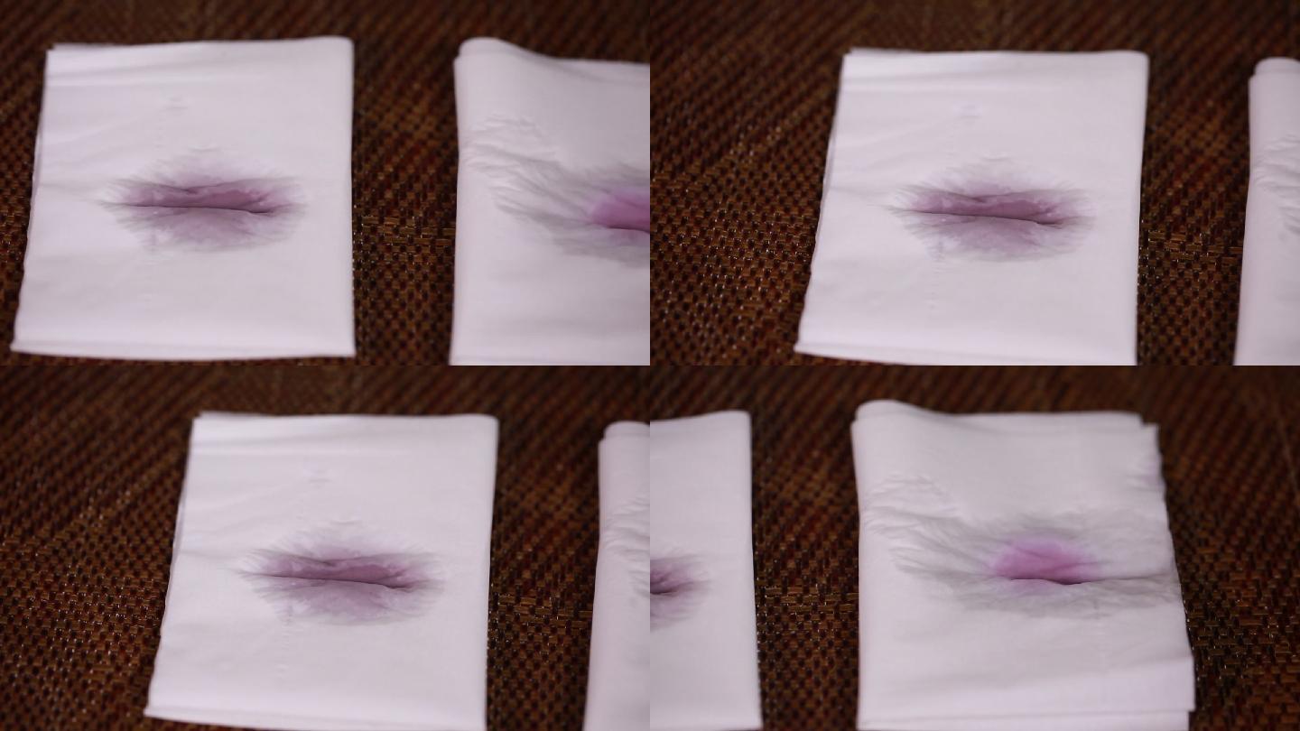 纸巾上的花青素酸碱变色实验 (5)