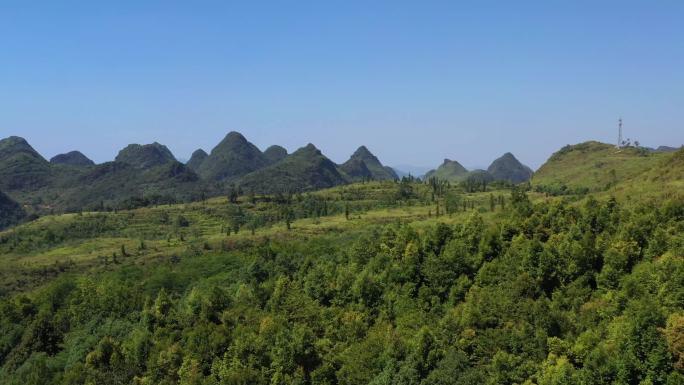 【可商用】清远阳山东山森林山区树木林业