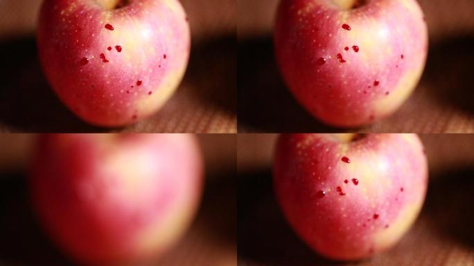 一排不同品种的苹果 (6)