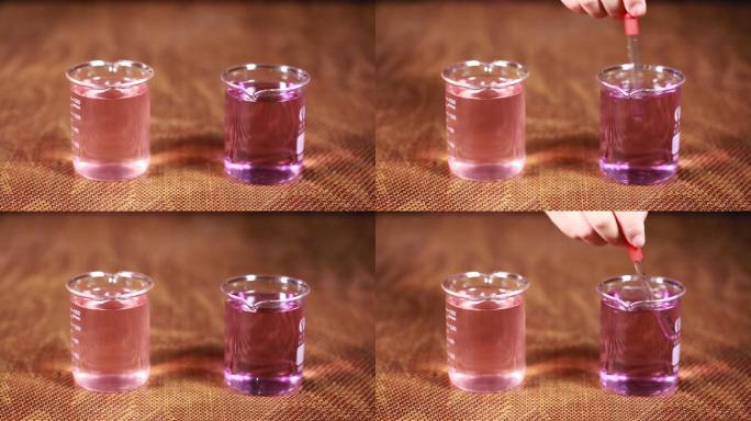 烧杯中花青素酸碱变色实验 (8)