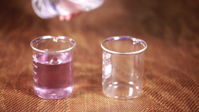 食用色素紫色花青素 (2)