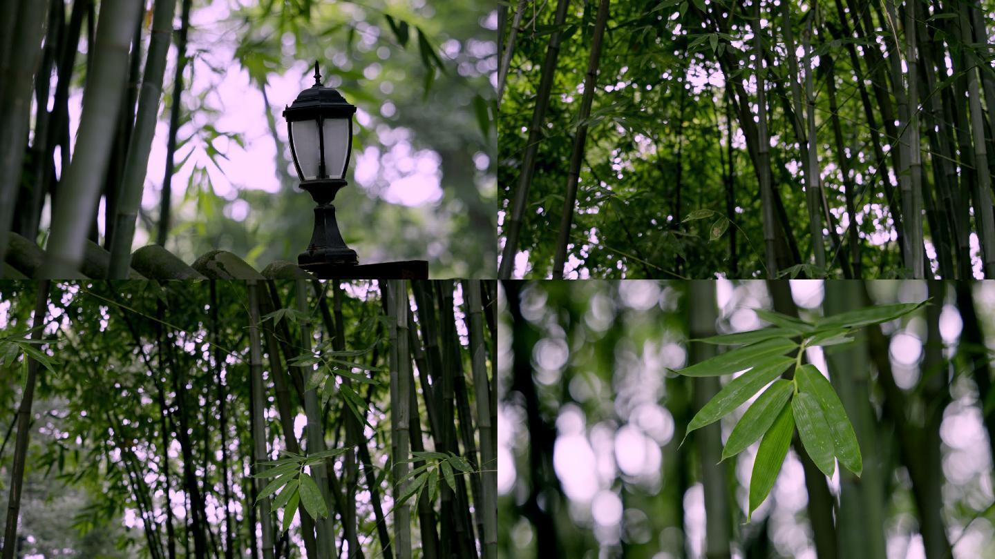竹林、竹海、青灯、路灯、树叶、绿叶