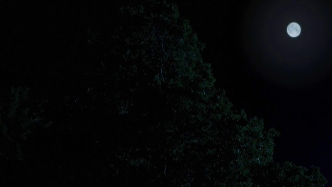 乡村夜色天空中秋月亮野外视频