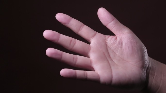 手掌手指掌纹指纹 (1)