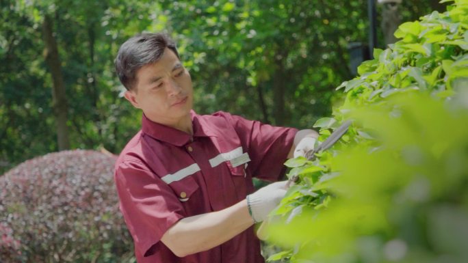 正在修剪花草的工人