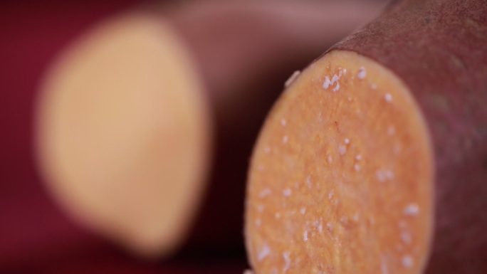 红薯地瓜白薯渗出红薯淀粉 (8)