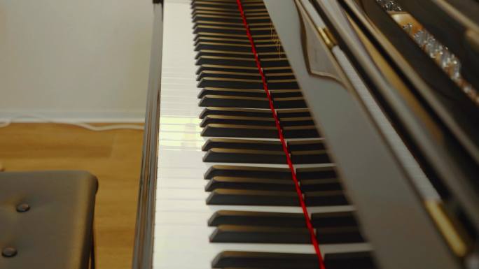 施坦威 钢琴 唯美 教学 手机 4K