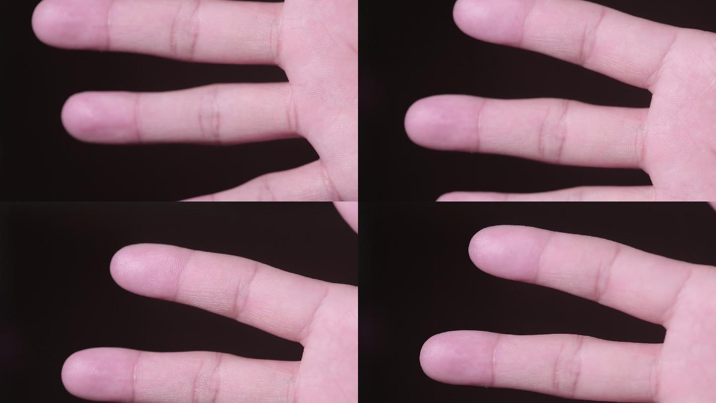 手掌手指掌纹指纹 (3)