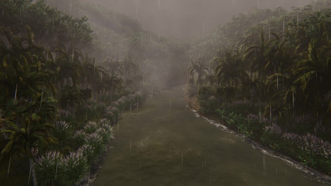 丛林雨景