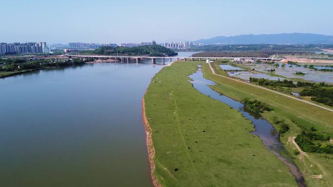 航拍江西吉安禾泸水沿岸湿地