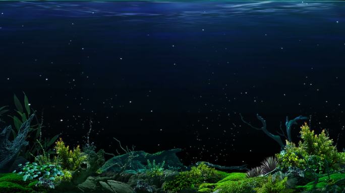 4k海底世界纯背景