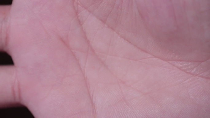 手掌手指掌纹指纹 (4)