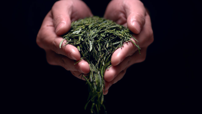 绿茶茶叶茶芽高速碰撞制茶炒茶意境茶艺匠心