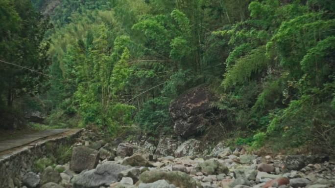 乱石 竹林 浙江山水 清幽 宁静 乡土