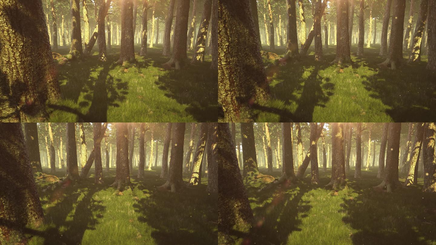 原创 4K树林