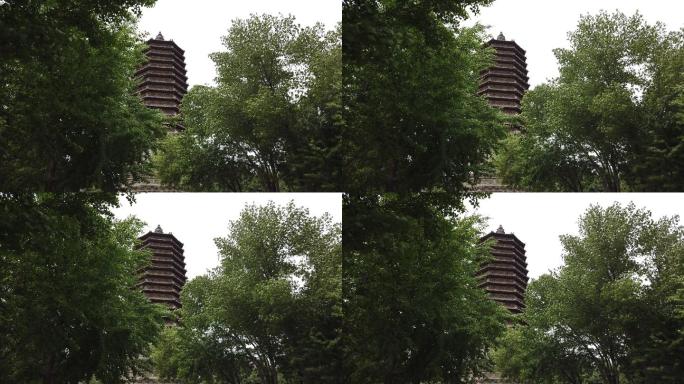 慈寿寺玲珑塔前绿色树木在风中摇曳