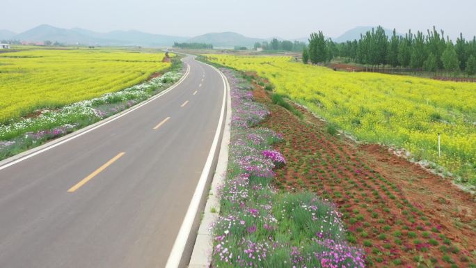 美丽乡村鲜花公路