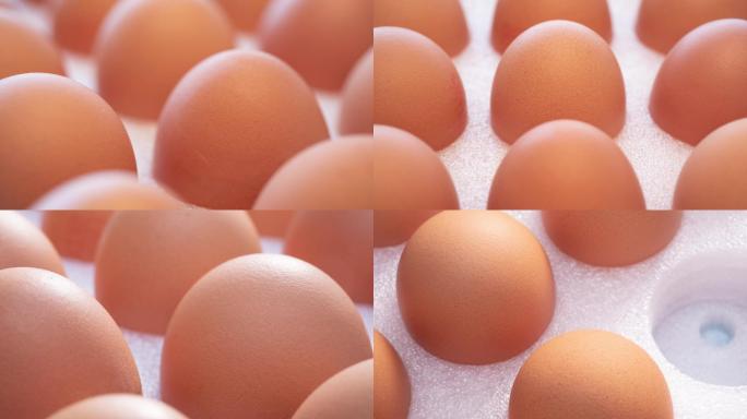 4K微距摄影 装在珍珠棉包装盒中的鲜鸡蛋