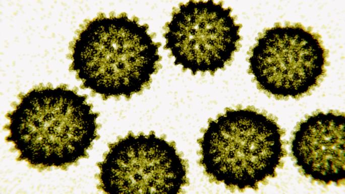 丙型肝炎病毒电子显微镜样动画