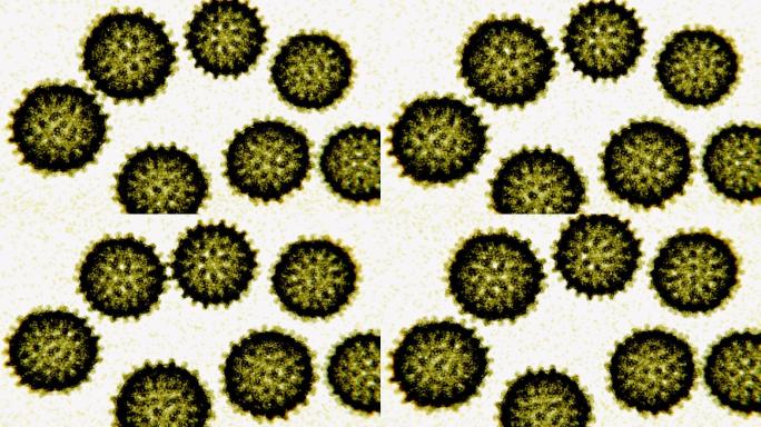 丙型肝炎病毒电子显微镜样动画
