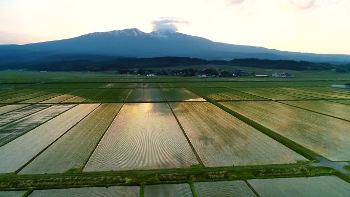 清晨的乔凯山和稻田的空中拍摄
