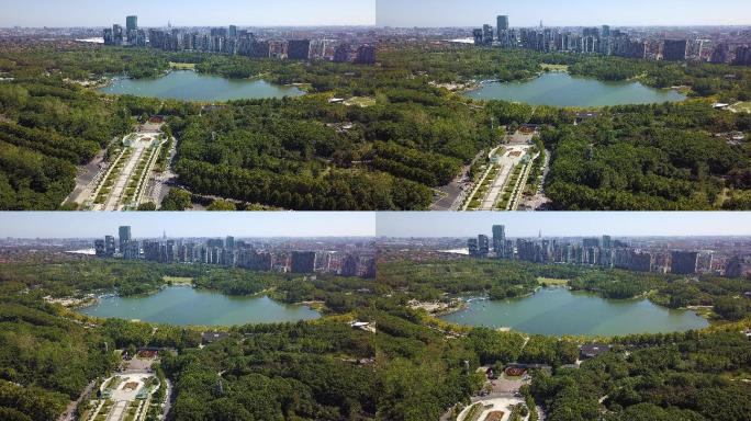 上海浦东世纪公园自然生态城市绿地