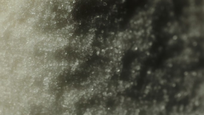 晶体颗粒矿物类中药材硼砂月石盐白糖