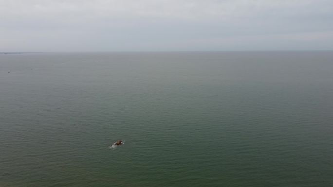 航拍4K素材.锦州龙海广场大环绕全景