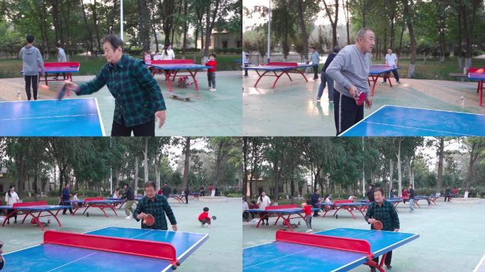老人公园打乒乓球升格慢动作