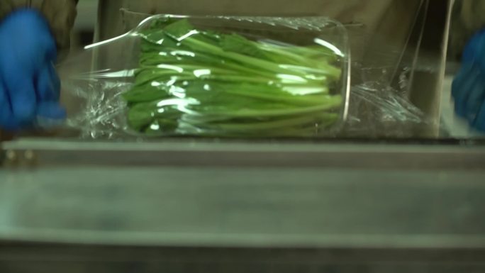 蔬菜包装