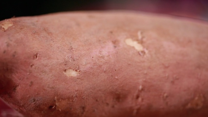 食品安全发芽的红薯白薯 (13)