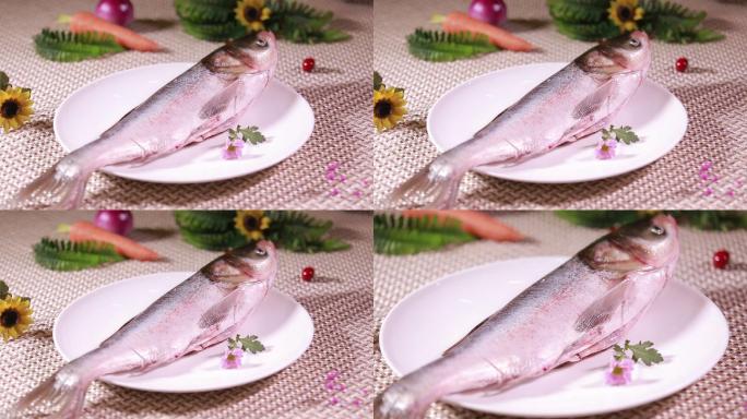 白鲢鱼大头鱼胖头鱼 (4)