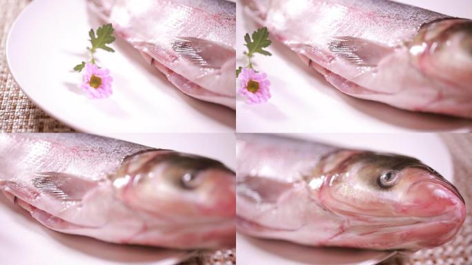 白鲢鱼大头鱼胖头鱼 (2)