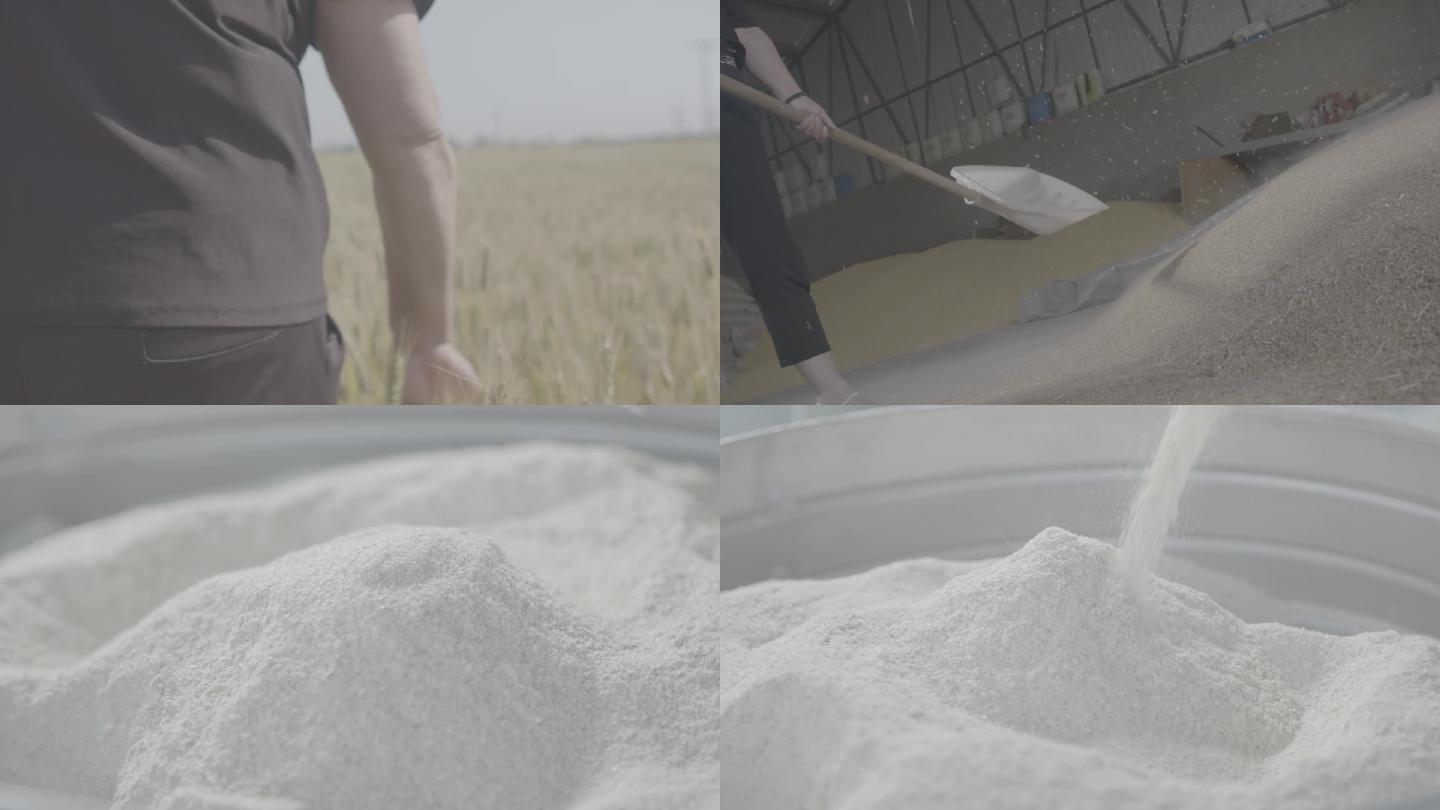 小麦丰收麦田微笑 小麦扬场 面粉研磨升格