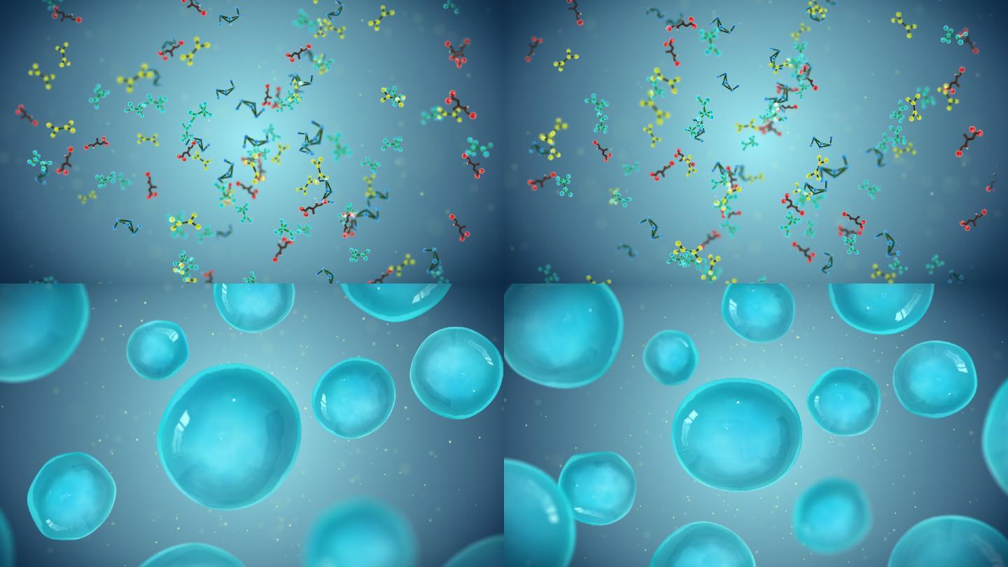 生物活性肽 小分子