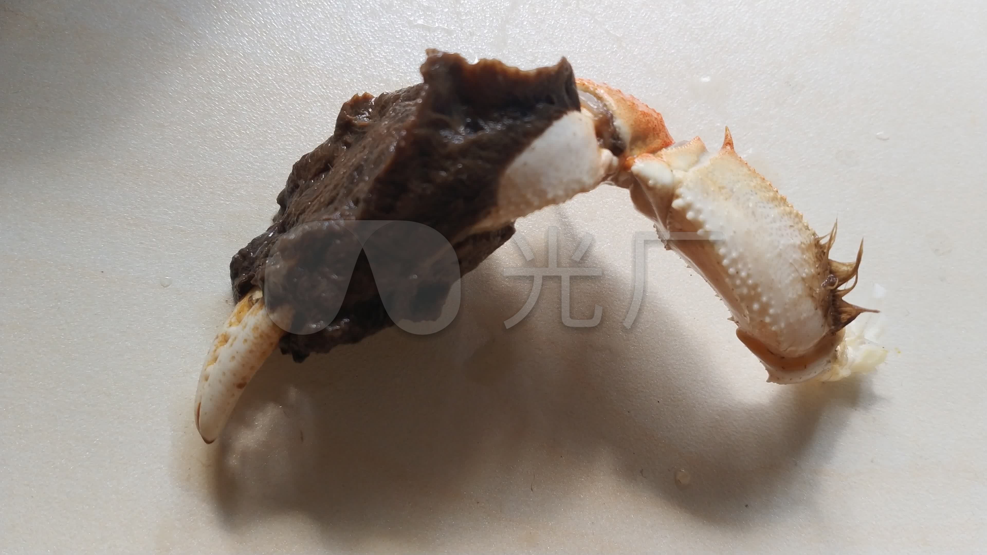 大闸蟹蟹钳_3840x2160_高清视频素材下载(编号:6562963)_实拍视频_vj