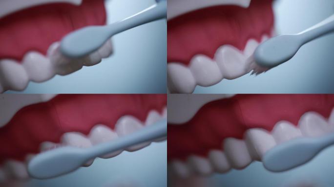 牙齿模型演示刷牙方法 (9)