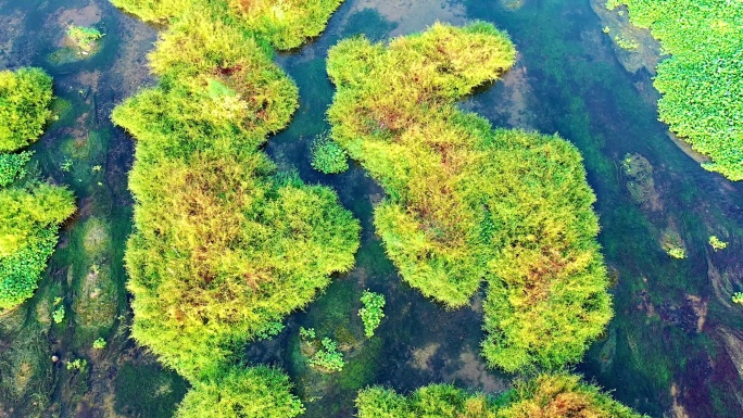 航拍家乡湖南武冈的河流资江赧水自然风光