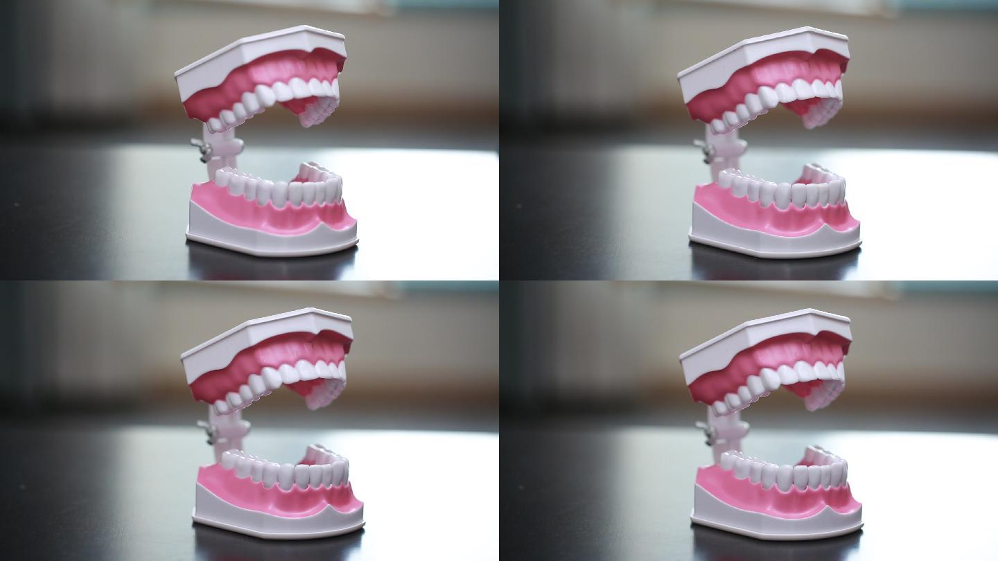 牙齿模型演示刷牙方法 (11)