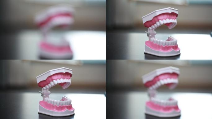 牙齿模型演示刷牙方法 (12)
