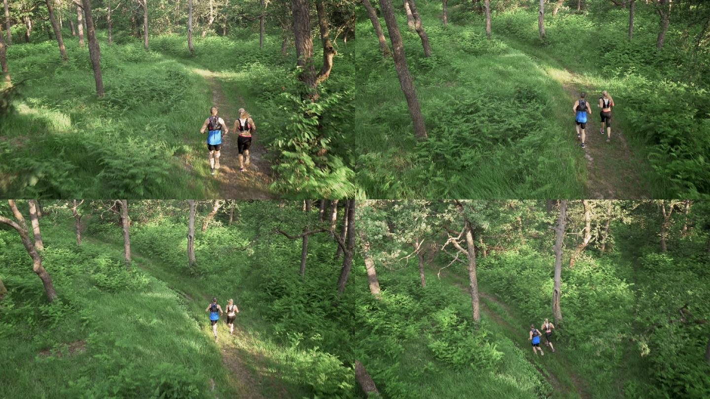 情侣在穿越森林的小路上奔跑