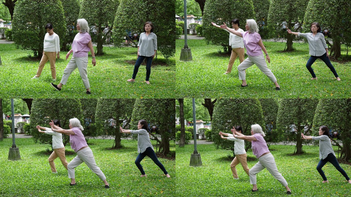 三位高级女士在公园练习瑜伽