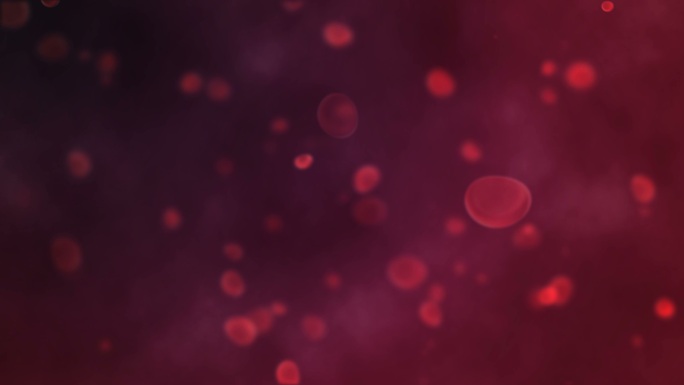 动脉中的红细胞