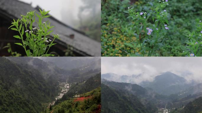 山村  山脉 云雾  绿水青山 踏青