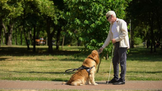 盲人在公园里训练导盲犬