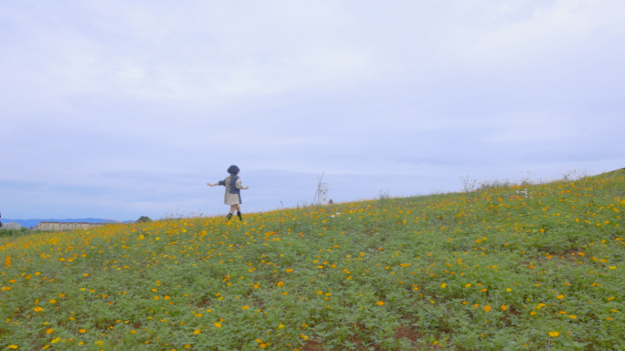 日系小清新、享受生活、花海、薰衣草