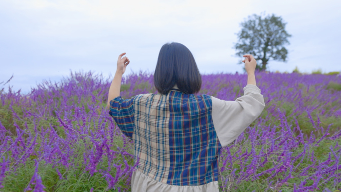 日系小清新、享受生活、花海、薰衣草