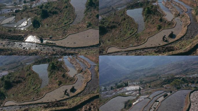 实拍云南红河州撒码坝梯田耕田